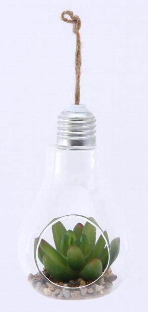 ガラス多肉植物 電球瓶 C 蓋付き（4個入）